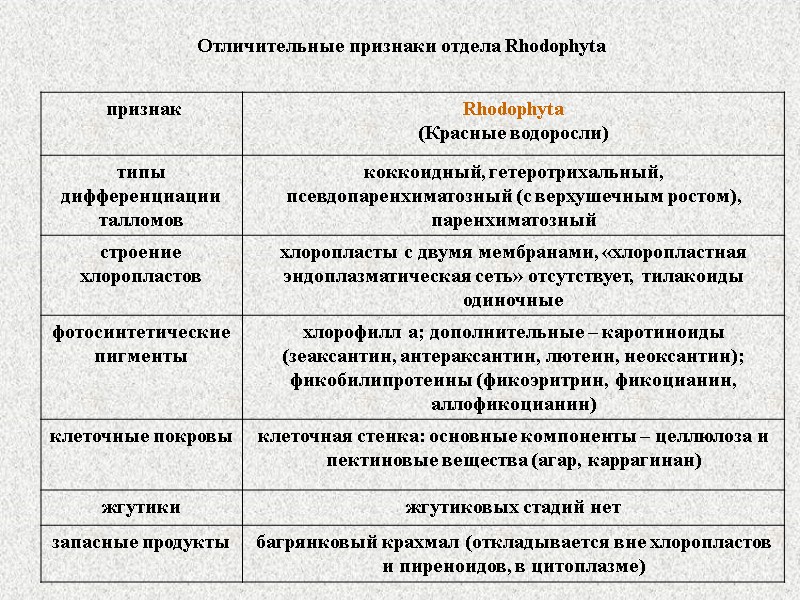 Отличительные признаки отдела Rhodophyta